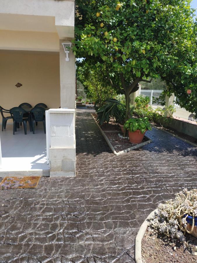 Les oliveres de l'Empordà Bellcaire d'Emporda Esterno foto